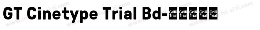 GT Cinetype Trial Bd字体转换